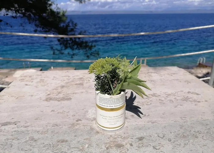 Hébergement de vacances D&d *