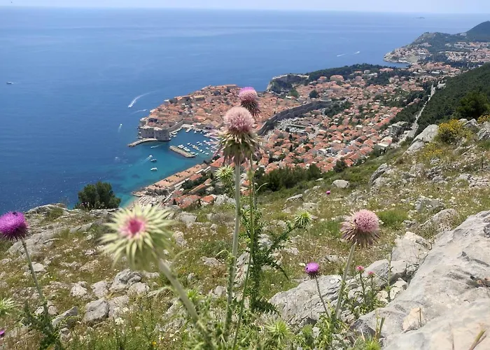 Hébergement de vacances D&d Prigradica